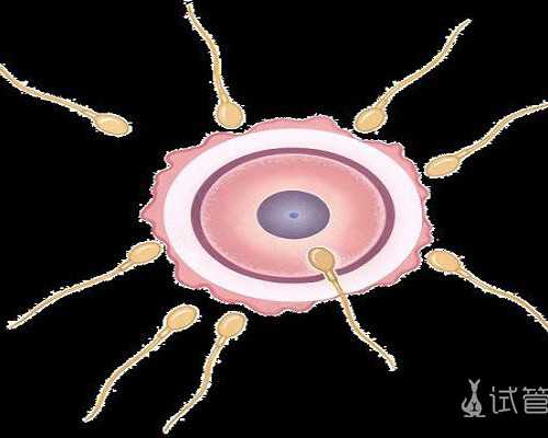 国内最好的代怀生子机构,宜宾私立医院做三代试管助孕一般多少钱