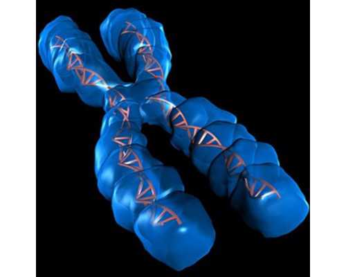 国内地下供卵公司,宁德私人医院第三代试管婴儿费用一览