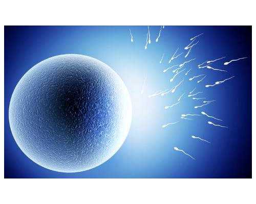 国内口碑好供卵试管,如果在葫芦岛私立医院做试管大约在多少钱左右