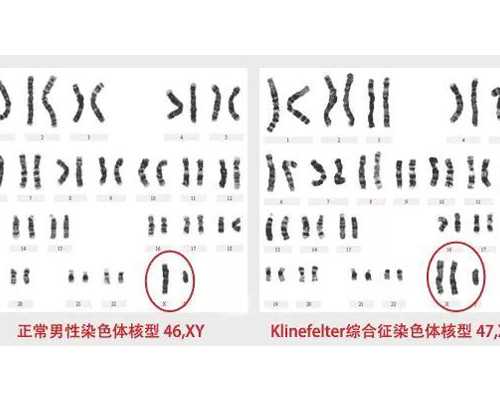 国内供卵十二万,试管婴儿怎样防护自身疾病-试管婴儿怎么护理
